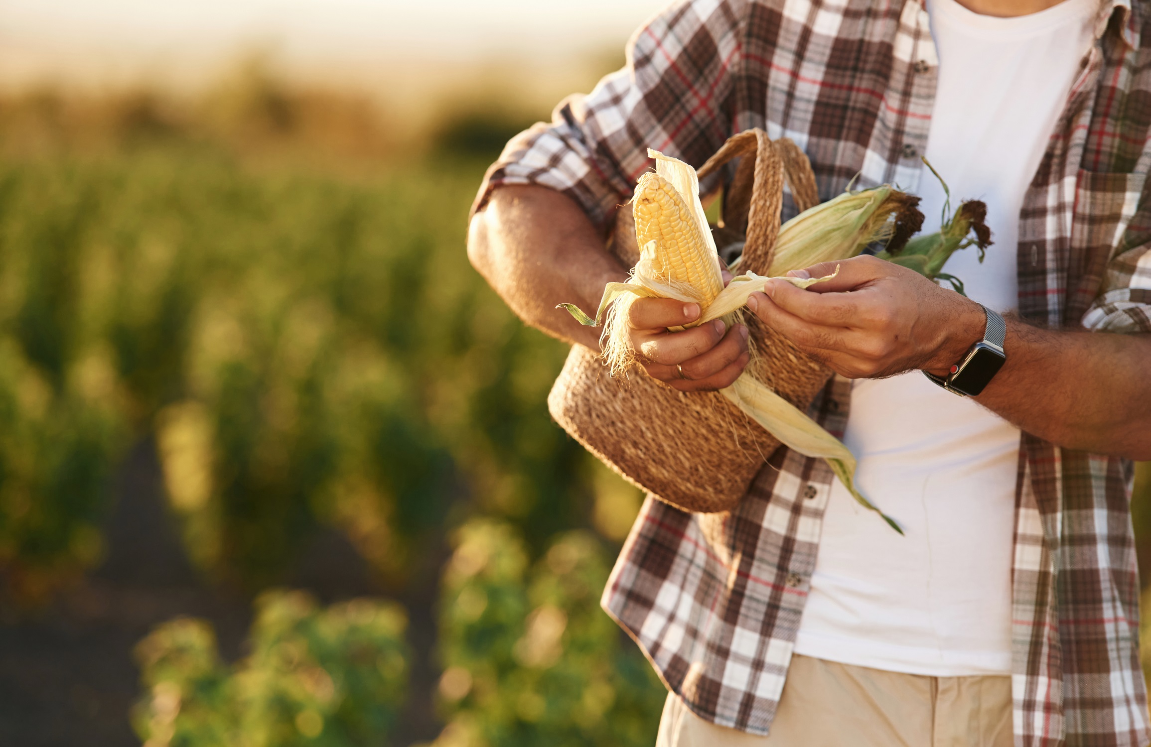 La adaptación de los frutales al cambio climático