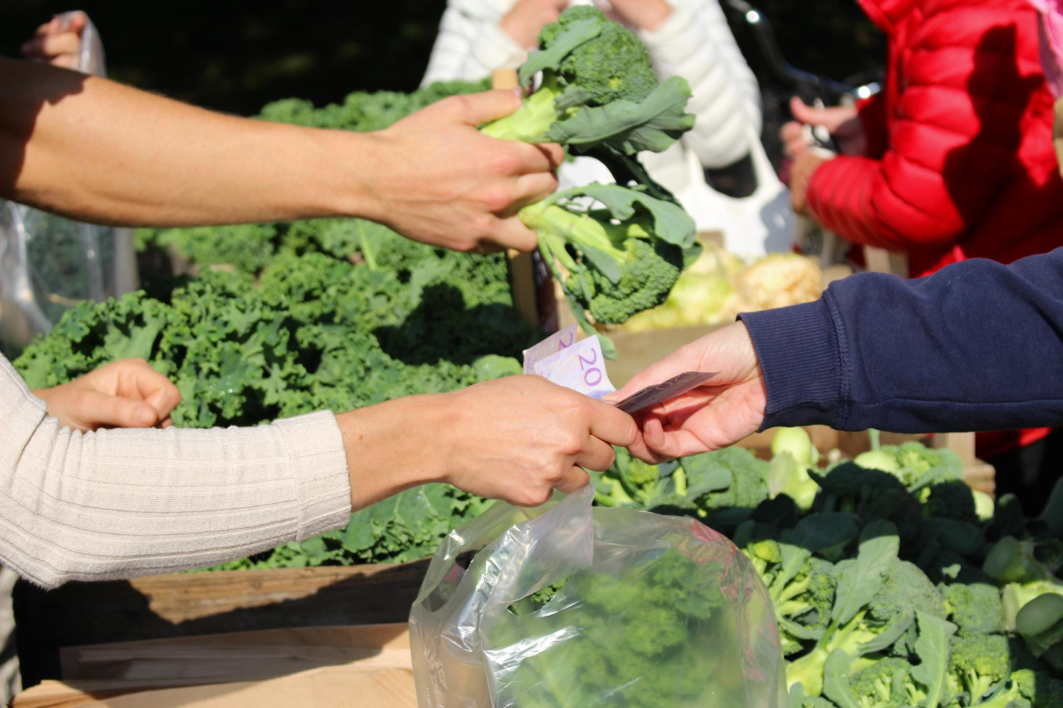 El rol de la agricultura intensiva en la demanda de alimentos