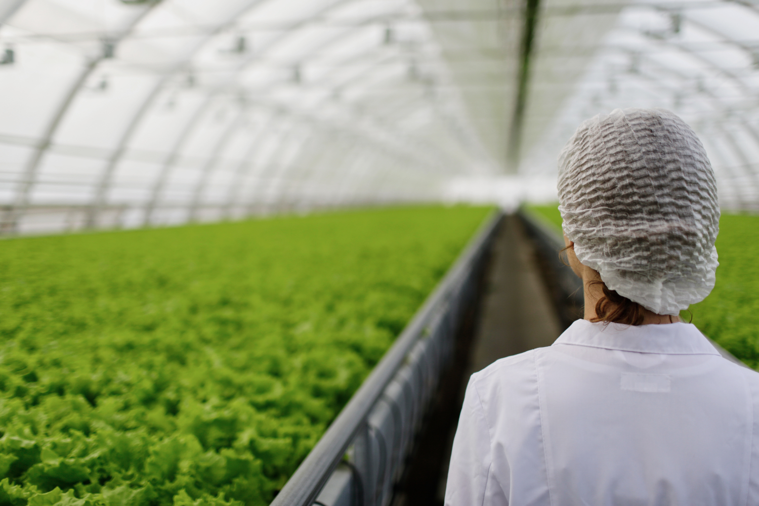 Los ejes de la agricultura intensiva