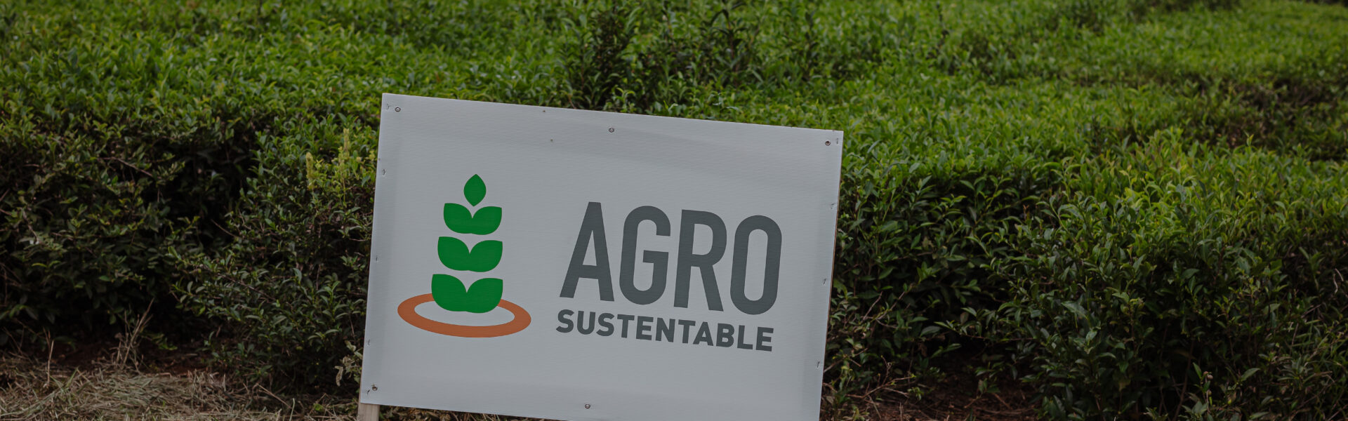 Cartel de Agro Sustentable en un campo de cultivo en Misiones, rodeado de vegetación verde, con envases de BIOFERT GTG exhibidos en la base.