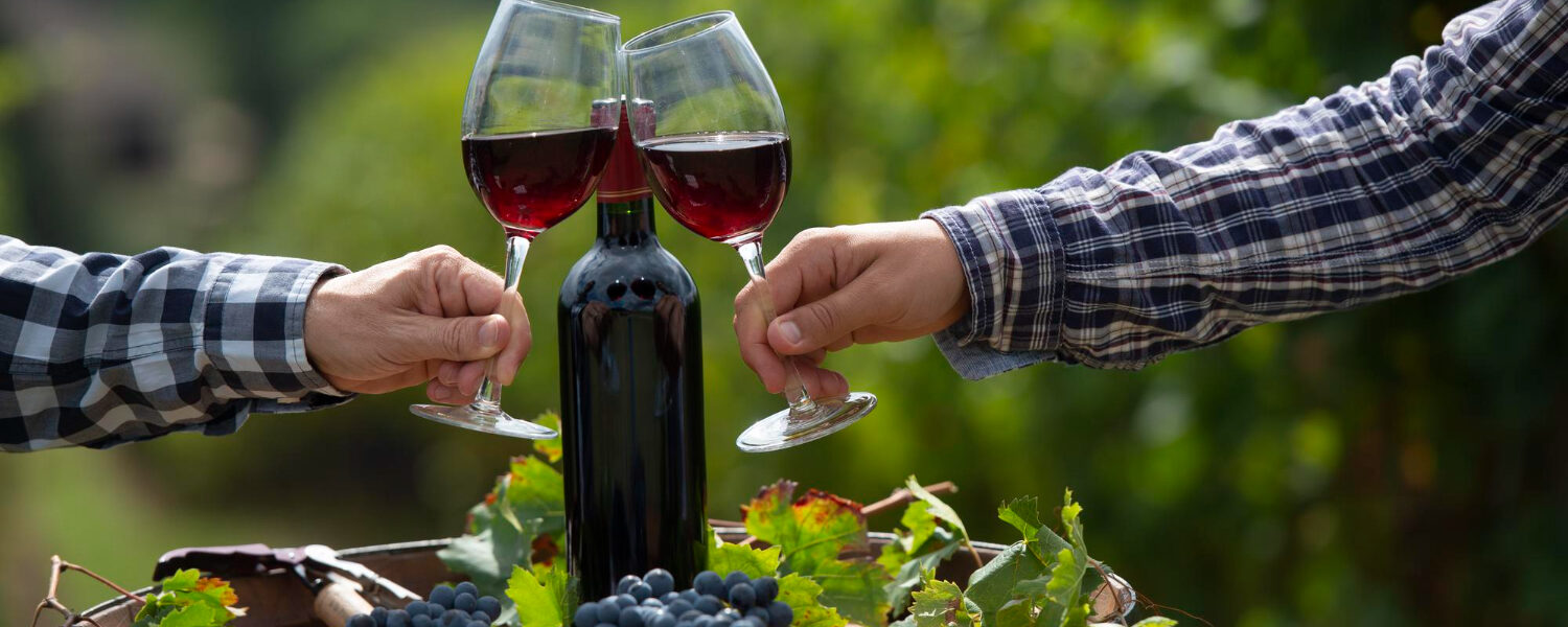 Tres copas de vino tinto brindando sobre un barril decorado con uvas y hojas de vid, con una botella al centro y viñedos al fondo.