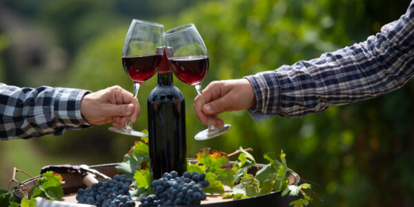 Tres copas de vino tinto brindando sobre un barril decorado con uvas y hojas de vid, con una botella al centro y viñedos al fondo.