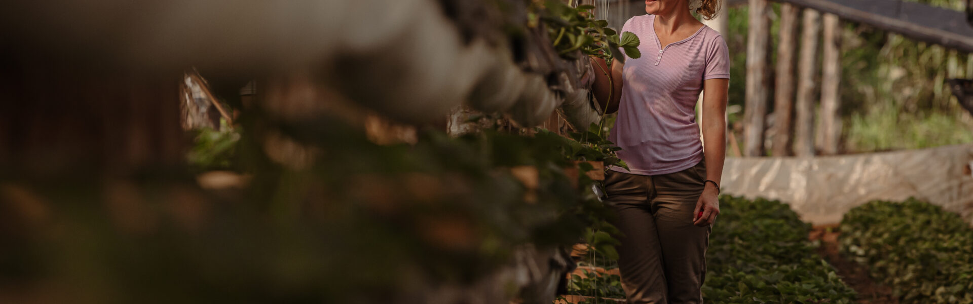 Mujer observando cultivos en un invernadero con estructura de madera, rodeada de vegetación en desarrollo.