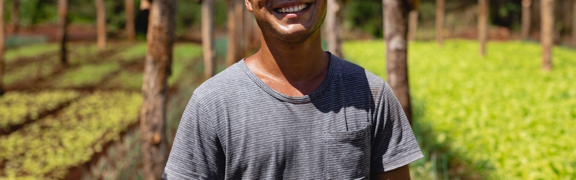Agricultor sonriente en un invernadero rural, rodeado de cultivos protegidos, símbolo de agricultura sustentable y tecnologías aplicadas al campo.