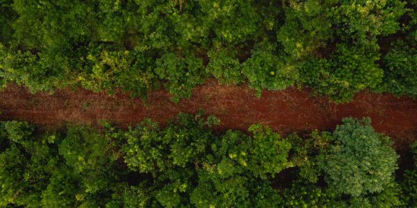 Vista aérea de un camino de tierra roja que atraviesa una densa vegetación verde, ilustrando el equilibrio entre infraestructura y naturaleza en entornos rurales.