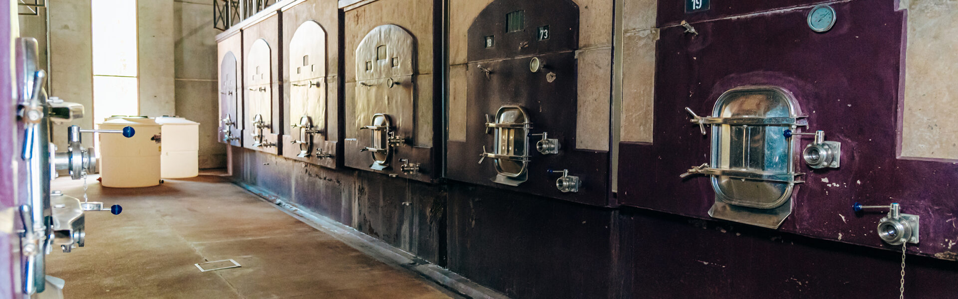 Sala de una bodega con piletas de hormigón para la fermentación del vino, utilizada en procesos orgánicos y biodinámicos.