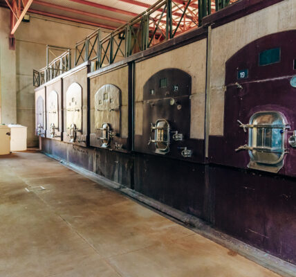 Sala de una bodega con piletas de hormigón para la fermentación del vino, utilizada en procesos orgánicos y biodinámicos.