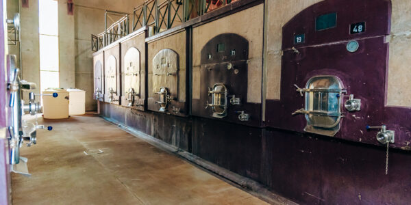 Sala de una bodega con piletas de hormigón para la fermentación del vino, utilizada en procesos orgánicos y biodinámicos.