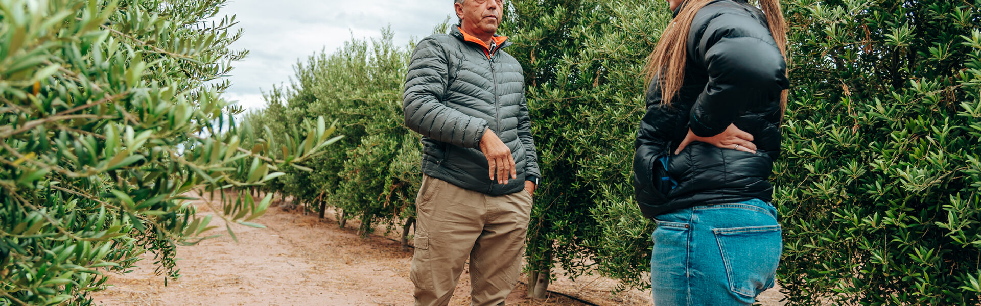 Dos personas dialogan en un campo de cultivo sobre prácticas agrícolas sostenibles, rodeadas de hileras de vegetación saludable.