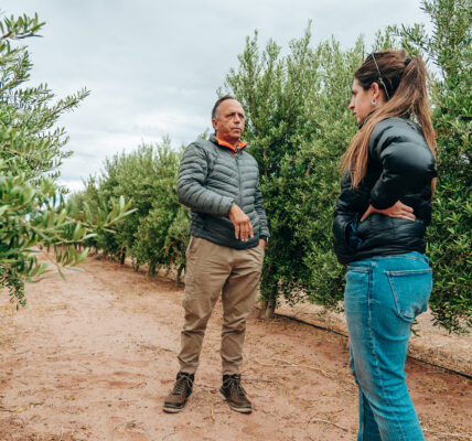 Dos personas dialogan en un campo de cultivo sobre prácticas agrícolas sostenibles, rodeadas de hileras de vegetación saludable.