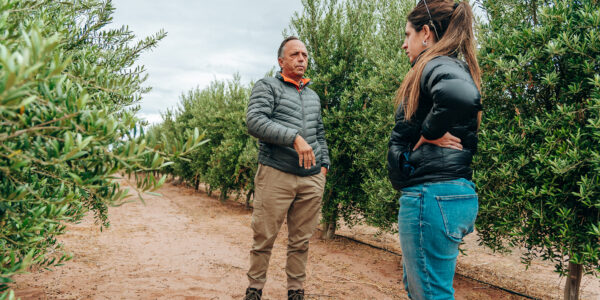 Dos personas dialogan en un campo de cultivo sobre prácticas agrícolas sostenibles, rodeadas de hileras de vegetación saludable.