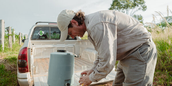 Productor rural prepara bioinsumos naturales desde la caja de una camioneta en medio del campo, en un entorno de vegetación y cielo despejado.