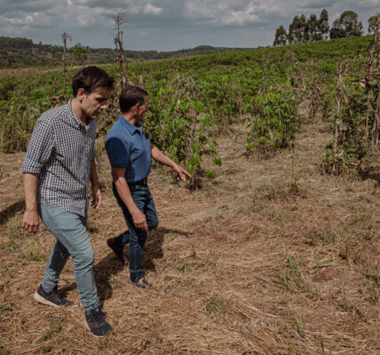 Matías Imperiale, junto a productores locales, recorren cultivos sustentables en Mendoza tras la certificación Wipo Green por prácticas agrícolas orgánicas.