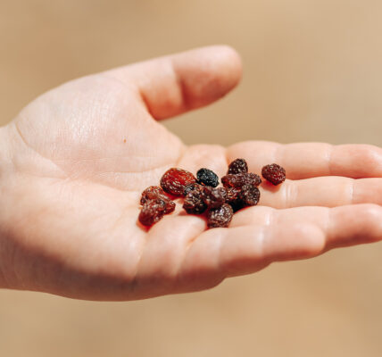 Mano sosteniendo uvas pasas, símbolo del valor agregado en la producción orgánica de frutas.