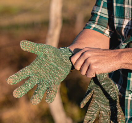 Persona colocándose guantes verdes de jardinería en un entorno rural, lista para trabajar en el campo.