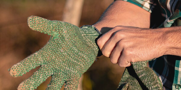 Persona colocándose guantes verdes de jardinería en un entorno rural, lista para trabajar en el campo.