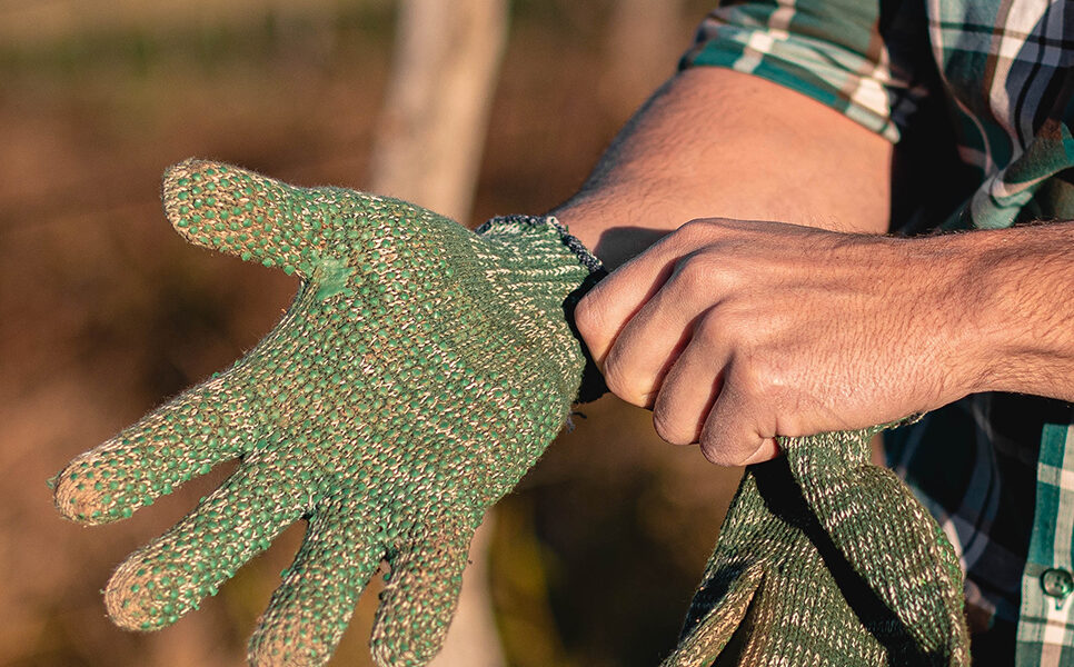 Persona colocándose guantes verdes de jardinería en un entorno rural, lista para trabajar en el campo.