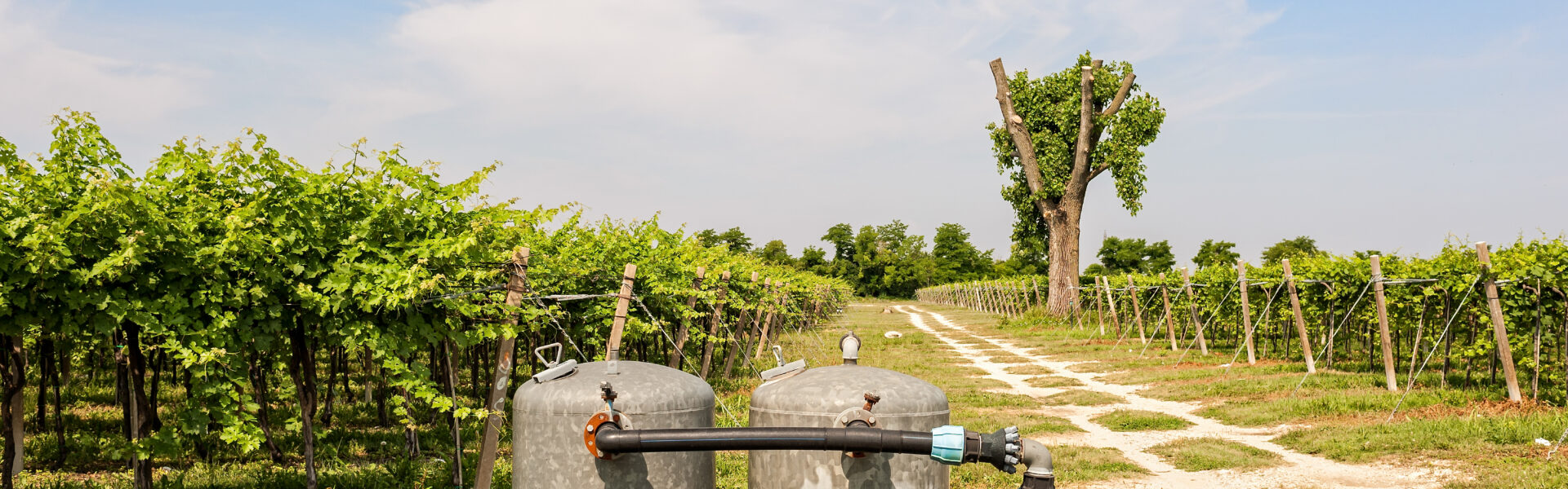 Dos tanques de filtración y tuberías conectadas para riego por goteo alineados entre hileras de vides bajo un cielo despejado.