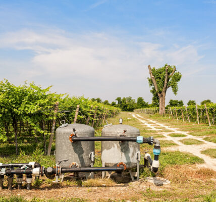 Dos tanques de filtración y tuberías conectadas para riego por goteo alineados entre hileras de vides bajo un cielo despejado.