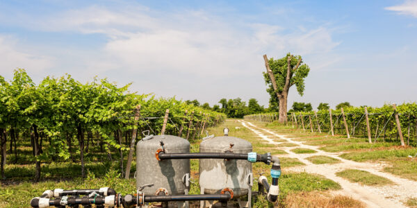 Dos tanques de filtración y tuberías conectadas para riego por goteo alineados entre hileras de vides bajo un cielo despejado.