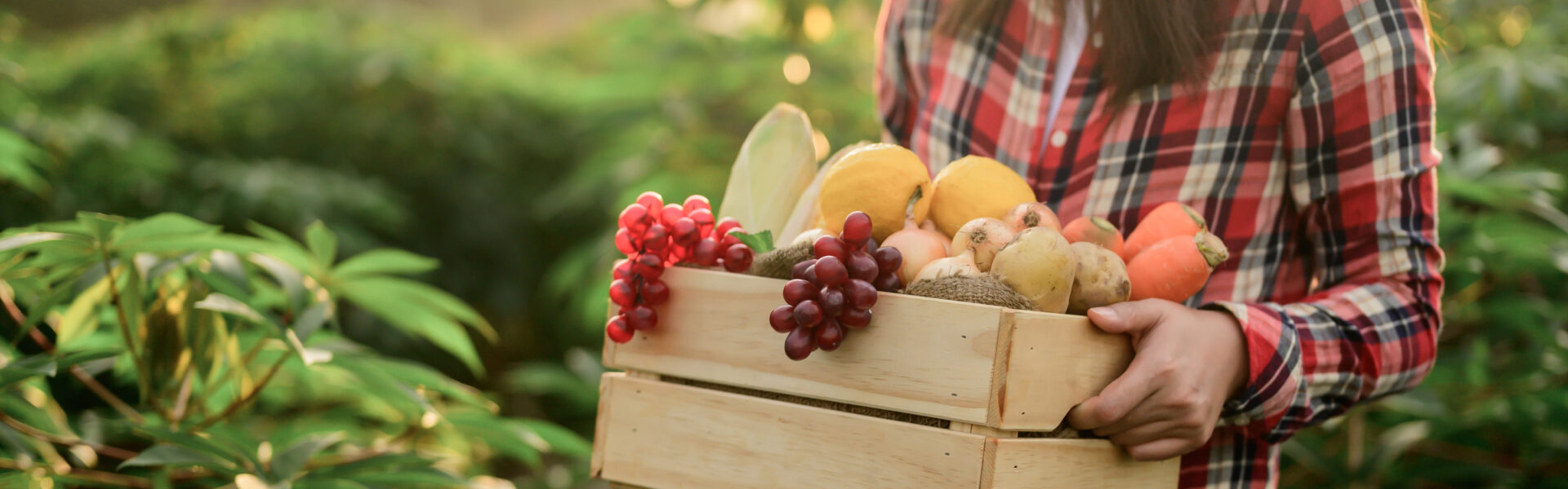 Mujer sostiene una caja de frutas frescas cosechadas en un campo rodeado de vegetación nativa.