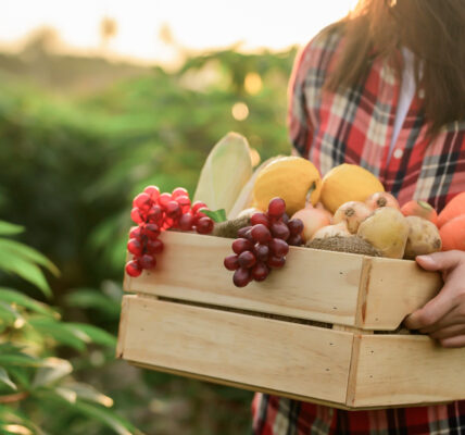 Mujer sostiene una caja de frutas frescas cosechadas en un campo rodeado de vegetación nativa.