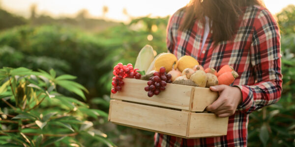 Mujer sostiene una caja de frutas frescas cosechadas en un campo rodeado de vegetación nativa.