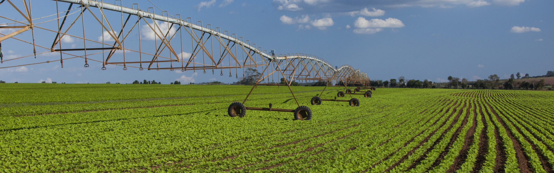 Sistema de riego por pivote central funcionando sobre un campo agrícola de cultivo intensivo bajo cielo parcialmente nublado.