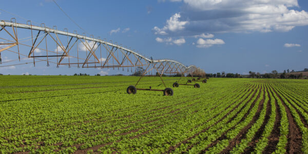 Sistema de riego por pivote central funcionando sobre un campo agrícola de cultivo intensivo bajo cielo parcialmente nublado.