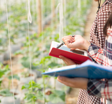 Técnicas agrícolas registran datos en un invernadero con cultivos en hileras, utilizando cuadernos y planillas para evaluar variables productivas y del suelo.