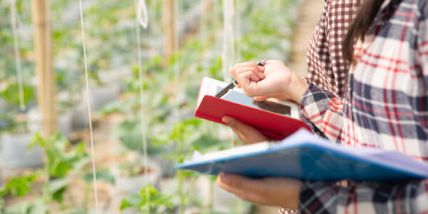 Técnicas agrícolas registran datos en un invernadero con cultivos en hileras, utilizando cuadernos y planillas para evaluar variables productivas y del suelo.